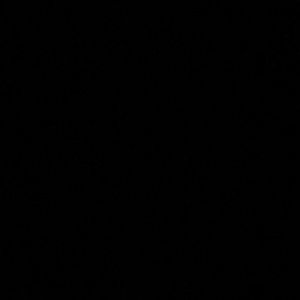 Meet your Posher, Charityy